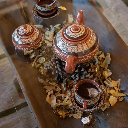 Dianne - Your In Mount Parnassos Villa Arachova